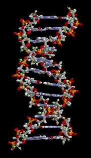 about us image dna strand