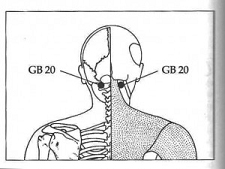 GB 20 Disc Placement